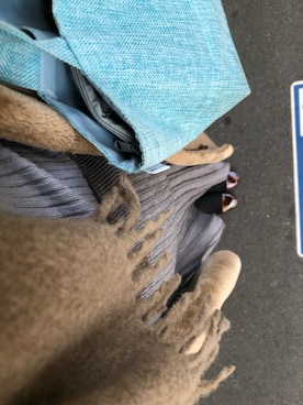 まさんのコーディネート