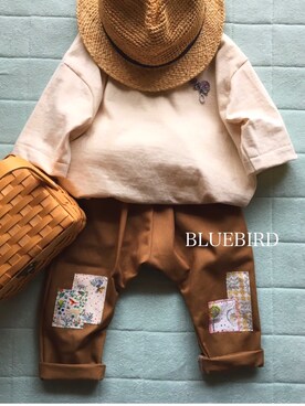 めぐんごさんのコーディネート