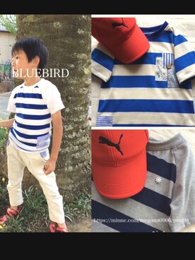 めぐんごさんのコーディネート