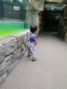 sea__さんのコーディネート