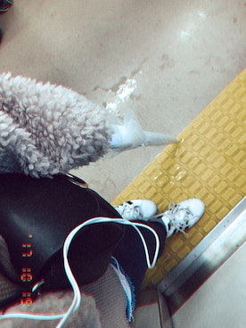 ちーさん（レディース・153cm）の秋コーディネート