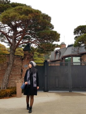 張蘋さんのコーディネート