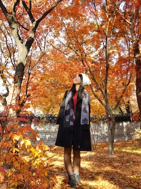 張蘋さんのコーディネート