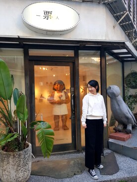 張蘋さんのコーディネート