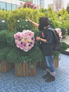 かっぱさんのコーディネート