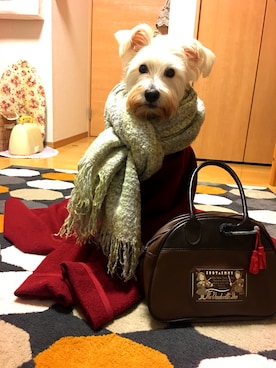 「homeworking（ホームワーキング）のアイテム」を使った、icoさん（レディース・158cm）の秋コーディネート