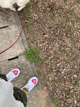 p🌏n™さんのコーディネート