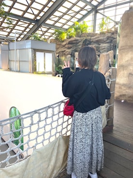 ぽんさんのコーディネート