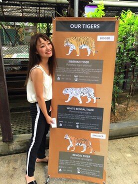 Himeno Yukiさんのコーディネート