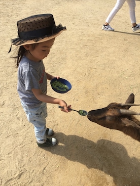 miperoさん(キッズ・90cm)の夏コーディネート