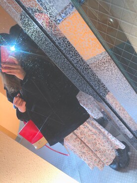 Penaさんのコーディネート