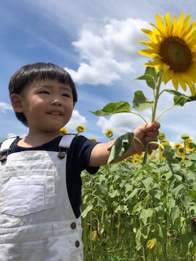 「ひまわり畑」｜「アイテム（オールインワン・サロペット）」を使った、yonesukeさん（キッズ・80cm）の夏コーディネート