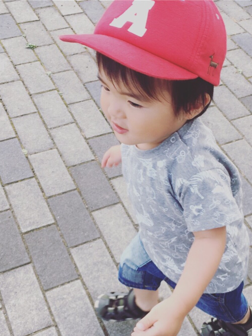 「Branshes、RADCHAP、futafuta、キッズファッション、子供服」｜「BRANSHESの【吸汗速乾】動物総柄半袖Tシャツ（Tシャツ/カットソー、グレー系）」を使った、kun☆さん（キッズ・80cm）の夏コーディネートの1枚目の写真