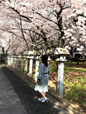 「花見」｜「アイテム（ワンピース/ドレス）」を使った、ありすさん（レディース・150cm）の春コーディネート