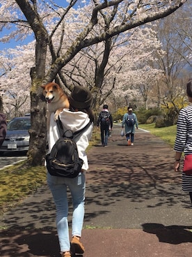 「アクティブ」｜「アイテム（パーカー）」を使った、i Iさん（レディース・156cm）の夏コーディネート