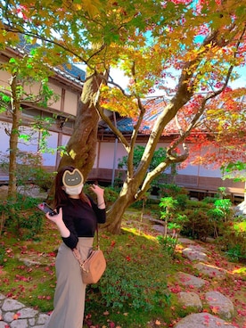 ぽのぷんさんのコーディネート