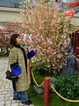 「アイテム（ダッフルコート、ゴールド系）」を使った、Jennie Cheung  さん（レディース・150cm）の冬コーディネート