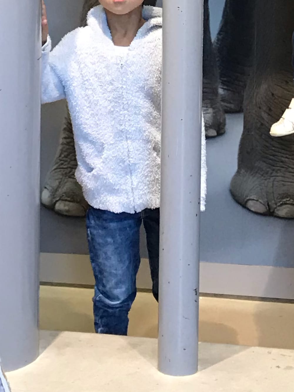 「動物園、行楽スタイル、小学生、パーカー」｜「BAREFOOT DREAMSのアイテム（マウンテンパーカー、ブルー系）」を使った、shuntakyotaさん（キッズ・120cm）の冬コーディネートの1枚目の写真