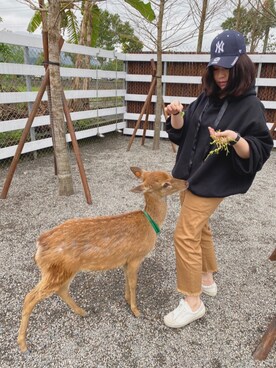 🇹🇼YC🇹🇼さんのコーディネート