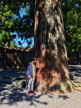 シリウスさんのコーディネート