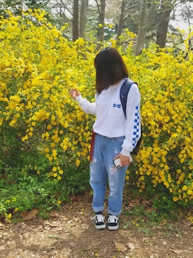 miyuさんのコーディネート