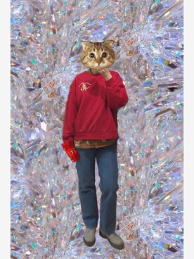 扑拉扑拉大蛾子さんのコーディネート