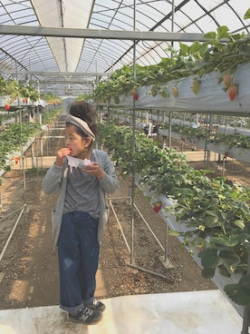 uu...さんのコーディネート