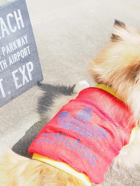 AmmYさんのコーディネート