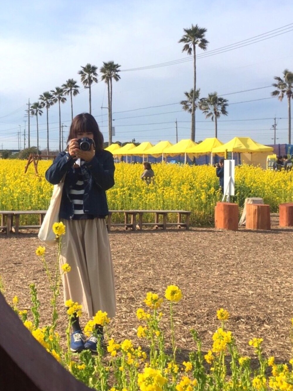 「春コーデ、菜の花、ジージャン、スニーカー、ボーダー、田原菜の花祭り」｜「mat quotidienのmat 11.5oz コットン/麻　デニムGジャン（デニムジャケット、ブルー系）」を使った、U.kiさん（レディース・158cm）の春コーディネートの1枚目の写真