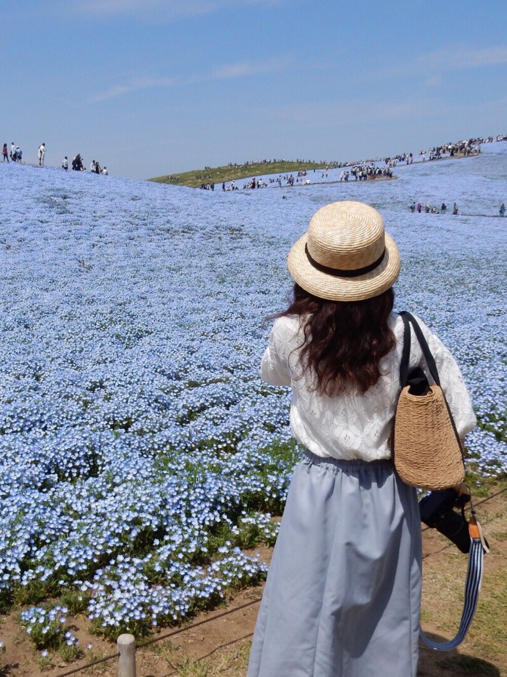 「ネモフィラ、ネモフィラカラー、ひたちなか海浜公園、お花畑、初夏、カンカン帽、ナチュラル」｜「PAGEBOYのレースボリュームブラウス（シャツ/ブラウス、ホワイト系）」を使った、U.kiさん（レディース・158cm）の夏コーディネートの1枚目の写真