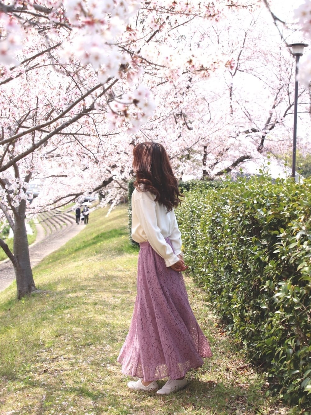「桜、お花見、桜ポトレ、ピンク、レーススカート、春コーデ、春」｜「earth music&ecologyの綺麗フレアスカート（レース）＊（スカート、パープル系）」を使った、U.kiさん（レディース・158cm）の春コーディネートの1枚目の写真