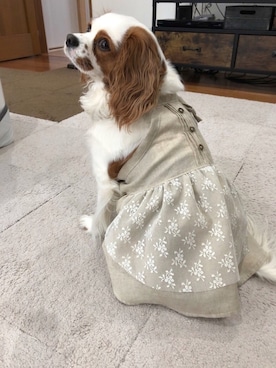 ワンピースを使った ミンネ の人気ファッションコーディネート Wear