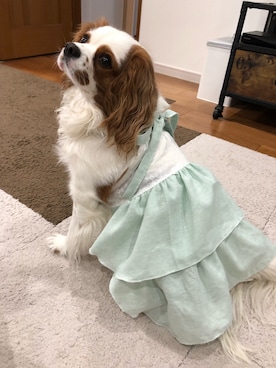 kinaさんのコーディネート