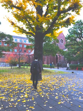 Gu ジーユー のビジネスシャツを使った人気ファッションコーディネート 季節 9月 11月 Wear