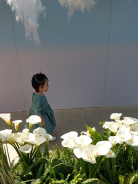 NeNeさんのコーディネート