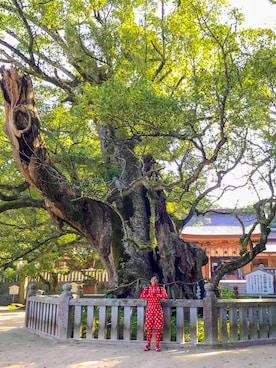 「ZOZO（ゾゾ）のアイテム（トップス、レッド系）」を使った、 赤ゾゾスーツの旅人 まきこうさん（メンズ）の秋コーディネート