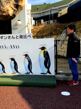 88さんのコーディネート