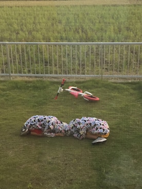 ひよ。こは。さん(キッズ・110cm)の秋コーディネート