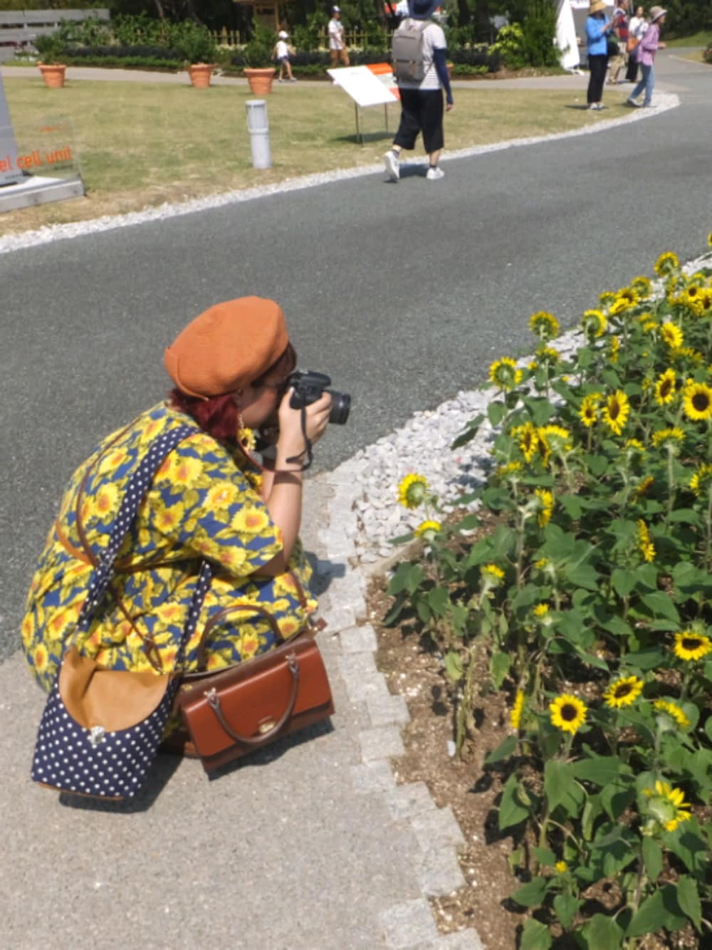 「ひまわり柄、ひまわり、ひまわり畑、むぎわらベレー帽、一眼レフ、古着、ぽっちゃり、でぶ、フリクロ、used」｜「usedのアイテム（ワンピース、イエロー系）」を使った、もこもこさん（レディース・162cm）の秋コーディネートの1枚目の写真