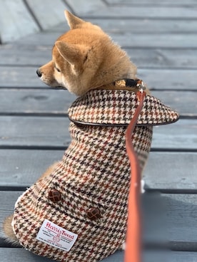 Hisayoさんの（HARRIS TWEED | ハリスツイード）を使ったコーディネート