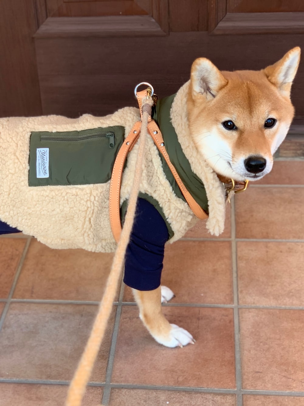 「マンダリンブラザーズ、ボアベスト、柴犬、愛犬、ロンパース、冬コーデ、もこもこ、カジュアル、お散歩コーデ、カーキ×ネイビー」｜「MANDARINE BROTHERSのアイテム（その他アウター、グリーン系）」を使った、Hisayoさん（レディース・160cm）の秋コーディネートの1枚目の写真