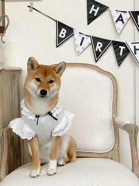 「柴犬」｜Hisayoさん（レディース・160cm）の秋コーディネート
