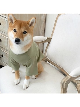 「柴犬」｜Hisayoさん（レディース・160cm）の冬コーディネート