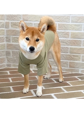 「柴犬」｜Hisayoさん（レディース・160cm）の冬コーディネート