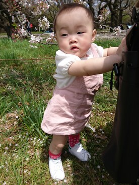 めー子さんのコーディネート