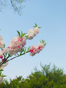 Tara-Floraさんのコーディネート