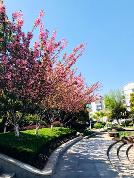 Tara-Floraさんのコーディネート