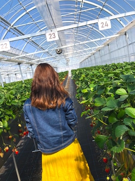 まゆちょびさんのコーディネート