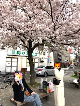 ふたばさん(レディース・158cm)の春コーディネート