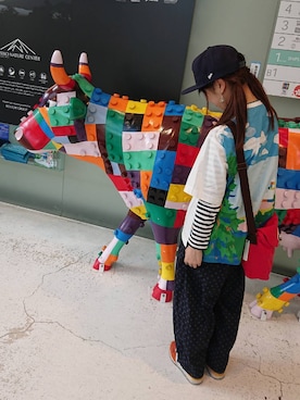 nao_mamekoさんのコーディネート
